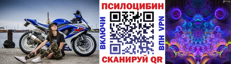 Псилоцибиновые грибы GOLDEN TEACHER Нелидово